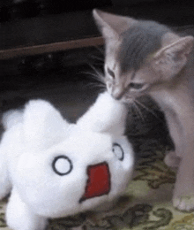 a kitten is playing with a stuffed animal that has a red mouth