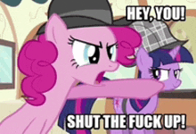 a cartoon of pinkie pie and twilight sparkle saying shut the fuck up