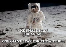 an astronaut on the moon with the caption one small step for an ant and one giant leap for the anthill