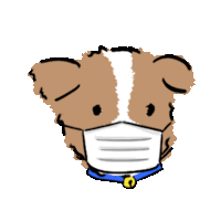 a brown and white dog wearing a white face mask