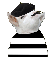 a white cat wearing a black beret and mustache