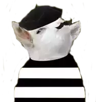 a white cat wearing a black beret and mustache