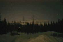 a dark night sky with trees in the foreground and snow on the ground in the background