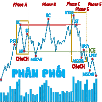 phase a phase b phase c phase d and phase e are shown on a chart