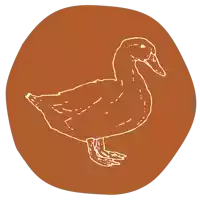 a drawing of a duck in a circle on a brown background