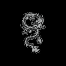 a white dragon on a black background with flames