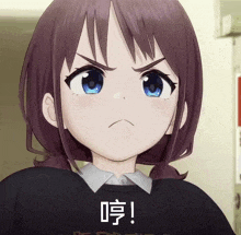 a girl with brown hair and blue eyes is wearing a black sweater and making an angry face .