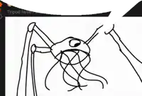 a black and white drawing of a spider with the words tripod fanart on the bottom right