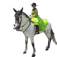 a woman in a green dress rides a white horse