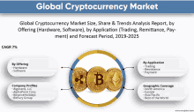 global cryptocurrency market size share & trends analysis report by offering hardware software by application trading remittance payment