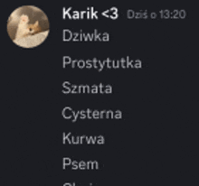 a screenshot of a person 's profile with the name karik < 3