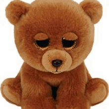 a close up of a brown teddy bear with big eyes sitting on a white background .