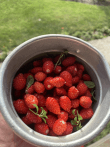 a silver bowl filled with strawberries with green leaves