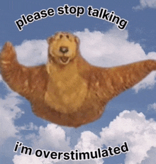 a picture of a bear flying in the air with the words please stop talking i 'm overstimulated