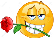 a smiley face is holding a red rose in its mouth