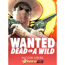 a poster for hacksaw gaming called wanted dead or wild