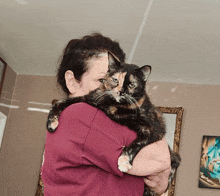 a woman in a purple shirt holds a calico cat in her arms