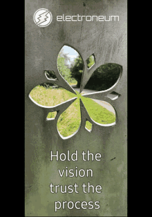 a poster that says hold the vision trust the process with a flower on it