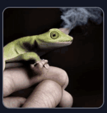 a person is holding a lizard with smoke coming out of it 's mouth