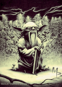 a black and white drawing of a man with a beard holding a pipe in front of a field of marijuana plants .