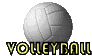 a volleyball with the word volleyball written on it