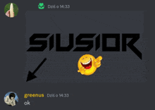 a screenshot of a video chat with the name siusior