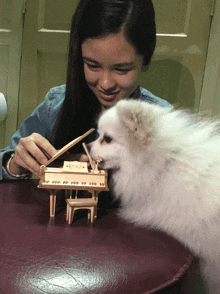 a girl and a white dog are playing with a model of a piano