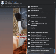 a screenshot of a facebook page that says ' peta latino ' on it