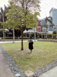 a woman stands under a tree in a park with a sign that says 333