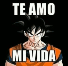 a picture of a dragon ball z character with the words `` te amo mi vida '' written on it .