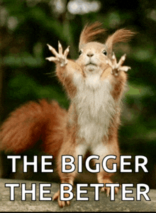 a picture of a squirrel with the words " the bigger the better " above it