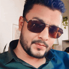 a man with a beard and sunglasses looks at the camera with a picture of a plant in the background