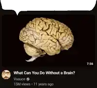 a picture of a human brain with a speech bubble that says what can you do without a brain