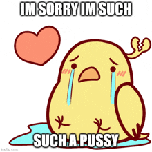 a cartoon bird is crying with a heart behind it and the words im sorry im such such a pussy .