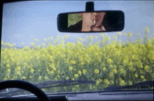 a man smoking a cigarette is reflected in the rear view mirror