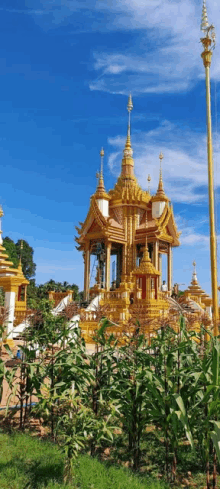 a temple with a blue sky in the background and a few trees in the foreground