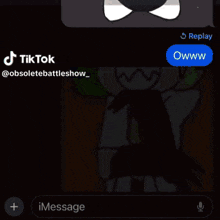 a screenshot of a tiktok video with a picture of a person