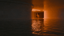 a dark room with a few lights on the ceiling and a reflection of a person in the water