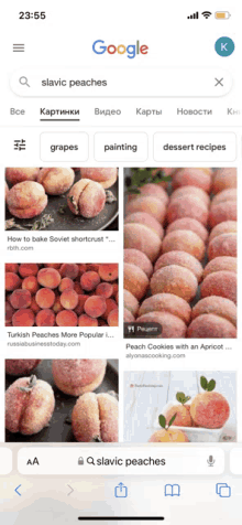 a google search for slavic peaches is displayed on a phone