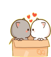 two cats are kissing in a cardboard box with hearts coming out of it