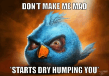 an angry bird with a caption that says " don 't make me mad "