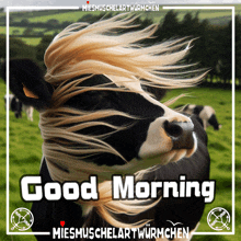 a picture of a cow with the words good morning written on it