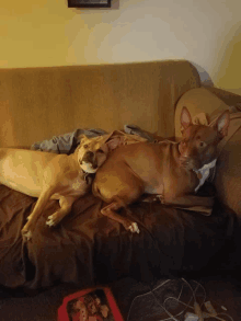 two dogs are laying on a couch with a box of dog food in the background