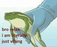 a person is holding a frog with the words `` bro relax , i am literally just vibing '' .