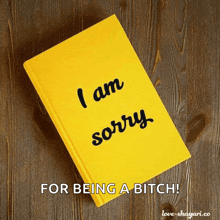 a yellow book with the words i am sorry for being a bitch written on it