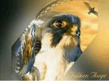 a painting of an eagle with the words falken auge written below it