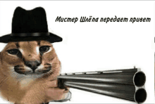 a cat wearing a black hat is holding a gun