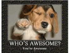 a picture of a puppy with the words who 's awesome on it