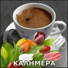 a cup of coffee on a saucer with flowers in the background .