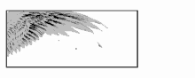 a black and white drawing of a bird 's wings on a white background